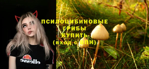 герыч Магас