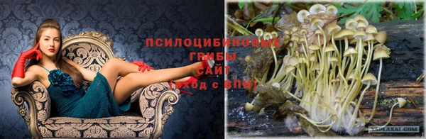метадон Магадан