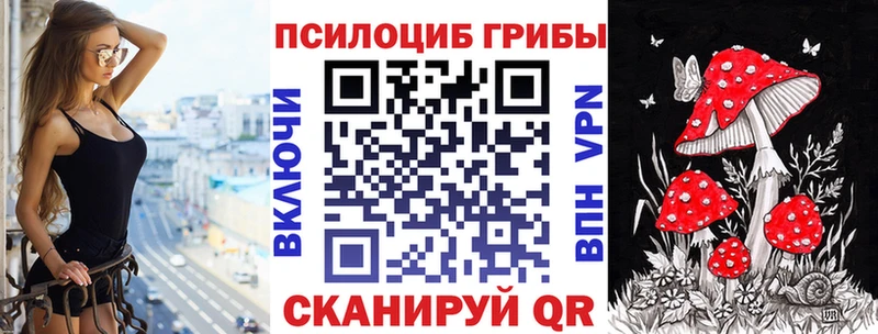 дарк нет состав  Енисейск  Галлюциногенные грибы прущие грибы 